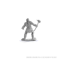 D&D Nolzur's Marvelous Miniatures: Cyclops