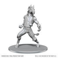 PRE-ORDER - D&D Nolzur's Marvelous Miniatures: Equinal Guardinal