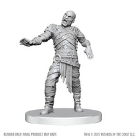 PRE-ORDER - D&D Nolzur's Marvelous Miniatures: Swarm of Rot Grubs & Rot Grub Victim