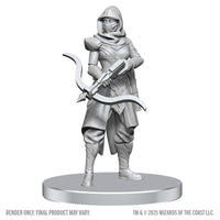 D&D Nolzur's Marvelous Miniatures: Assassin & Berserker