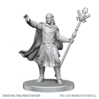 PRE-ORDER - D&D Nolzur's Marvelous Miniatures: Drow Mage & Yochlol
