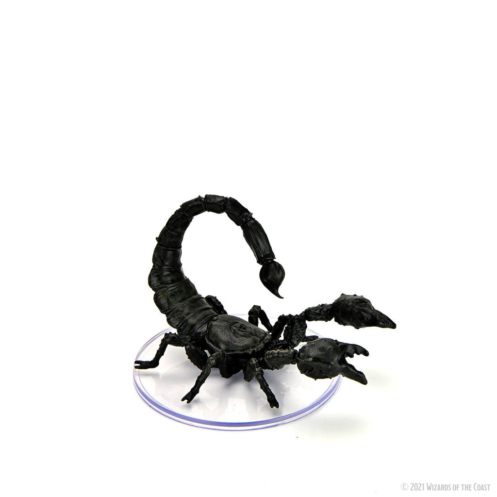 D&D Icons of the Realms: Wild Shape & Polymorph Set 1 – WizKids