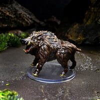 D&D Icons of the Realms: Wild Shape & Polymorph Set 1