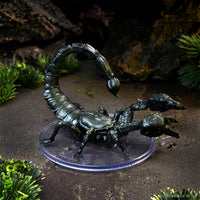 D&D Icons of the Realms: Wild Shape & Polymorph Set 1