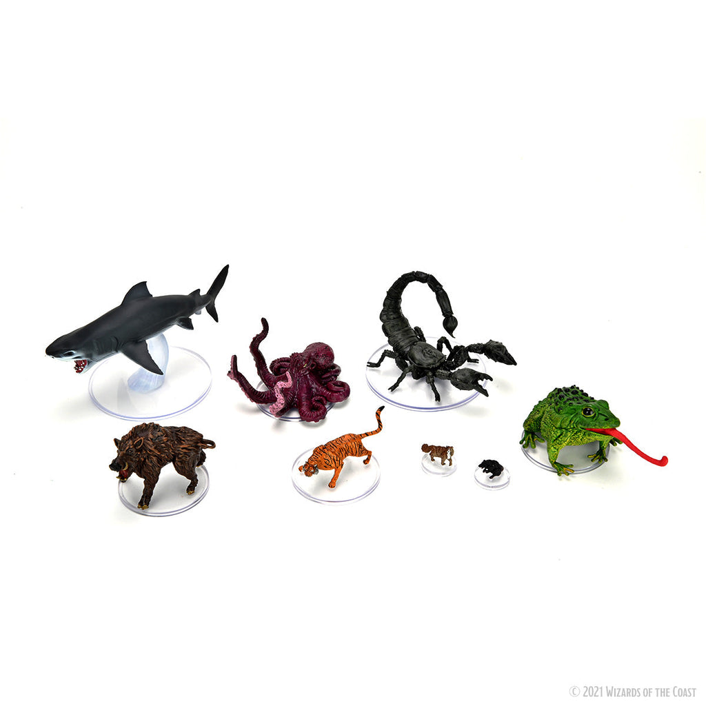D&D Icons of the Realms: Wild Shape & Polymorph Set 1 – WizKids