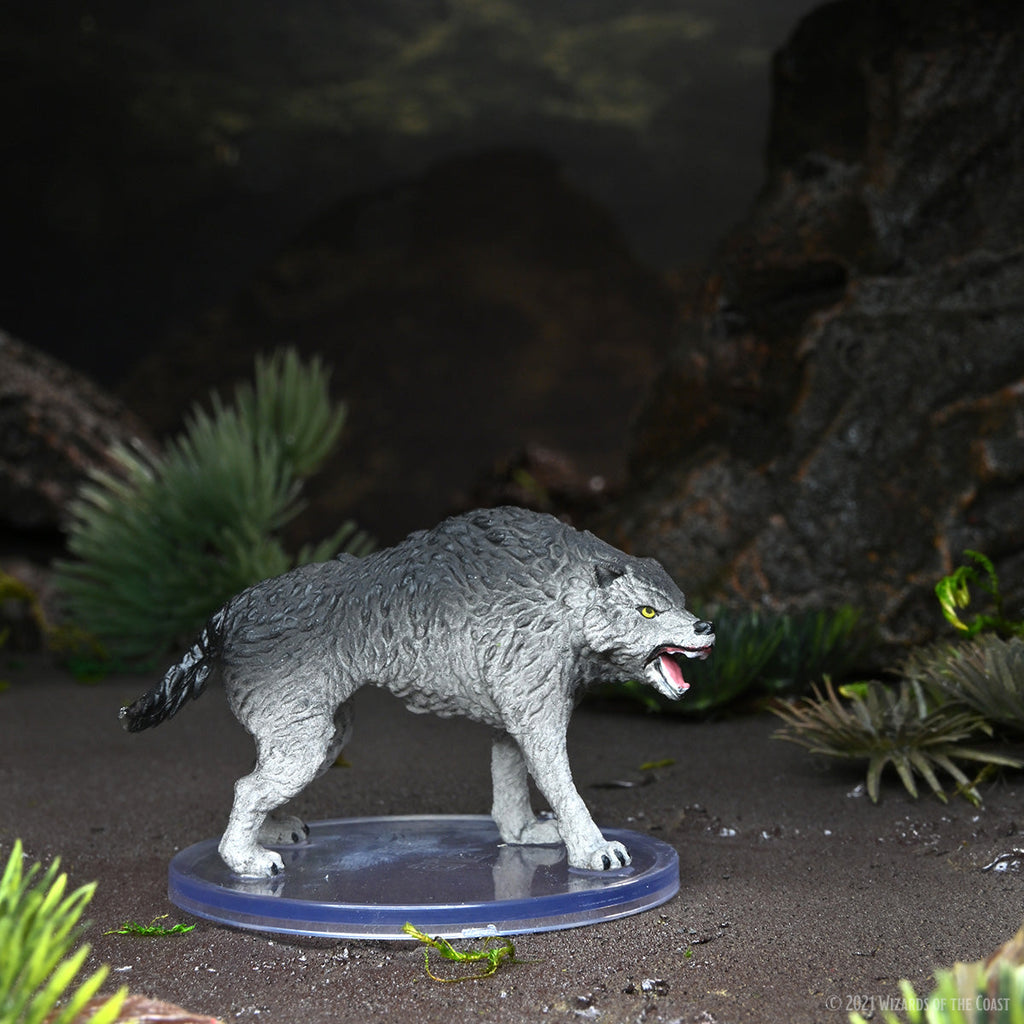 D&D Icons of the Realms: Wild Shape & Polymorph Set 2 – WizKids