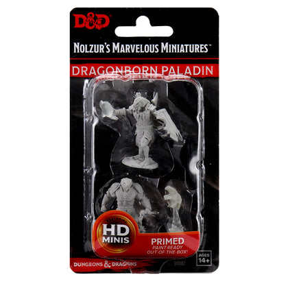 D&D Nolzur's Marvelous Miniatures - Male Dragonborn Paladin - 1