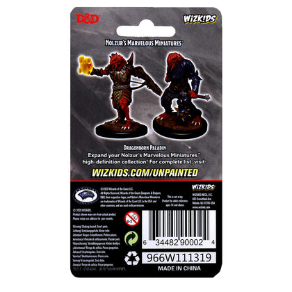 D&D Nolzur's Marvelous Miniatures - Male Dragonborn Paladin - 2