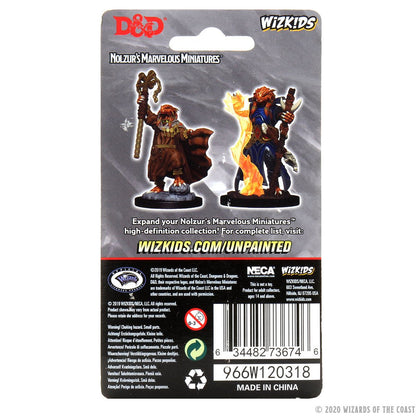 D&D Nolzur's Marvelous Miniatures - Female Dragonborn Sorcerer - 2