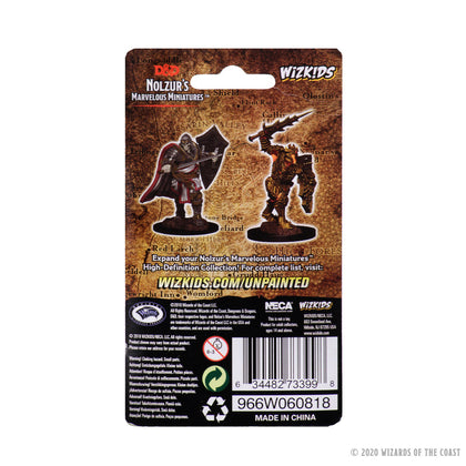D&D Nolzur's Marvelous Miniatures: Death Knight & Helmed Horror - 2