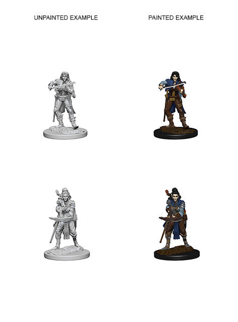 BACK-ORDER - Pathfinder Battles Deep Cuts - Elf Female Bard