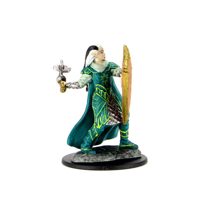 D&D Icons of the Realms: Premium Painted Figure - Elf Paladin Female - 3