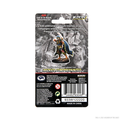 D&D Icons of the Realms Premium Figures: Elf Rogue Male - 2