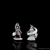 D&D Nolzur's Marvelous Miniatures - Male Elf Sorcerer