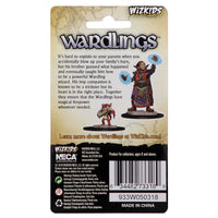 WizKids Wardlings RPG Figures: Boy Wizard & Imp