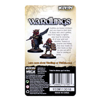 Wizkids Wardlings Painted Miniatures: Goblin (Male) & Goblin (Female)