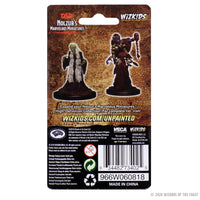 D&D Nolzur's Marvelous Miniatures: Green Hag & Night Hag