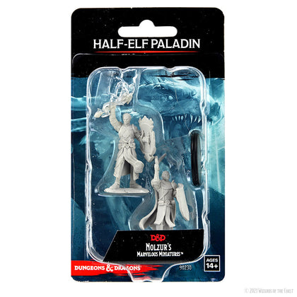 D&D Nolzur's Marvelous Miniatures: Half-Elf Paladin Male - 1