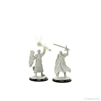 D&D Nolzur's Marvelous Miniatures: Half-Elf Paladin Male