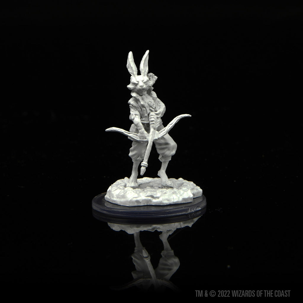 Dungeons & Dragons Nolzur's Marvelous Miniatures: Paint Kit - Harengon ...