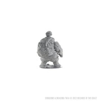 D&D Nolzur's Marvelous Miniatures - Hill Giant