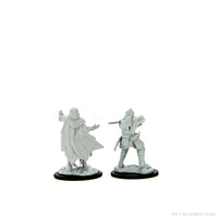 D&D Nolzur's Marvelous Miniatures: Hobgoblin Fighter Male & Hobgoblin Wizard Female