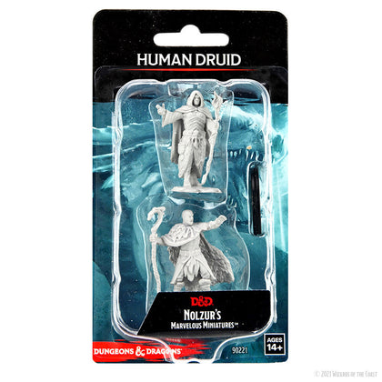 D&D Nolzur's Marvelous Miniatures: Human Druid Male - 1