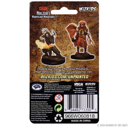 D&D Nolzur's Marvelous Miniatures: Male Human Druid - 2