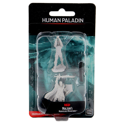 D&D Nolzur's Marvelous Miniatures - Male Human Paladin - 1