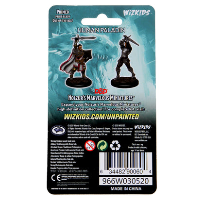 D&D Nolzur's Marvelous Miniatures - Male Human Paladin - 2