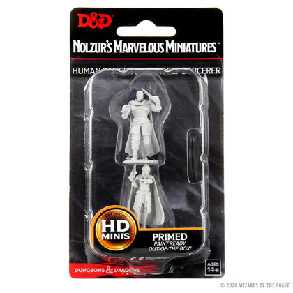 D&D Nolzur's Marvelous Miniatures - Human Ranger & Moon Elf Sorcerer - 1