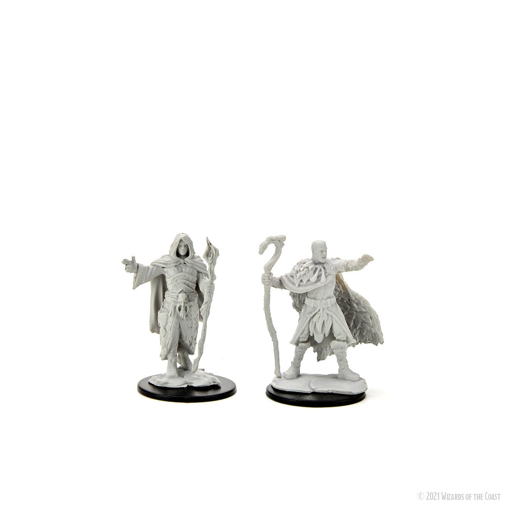 D&D Nolzur's Marvelous Miniatures: Human Druid Male main image 0