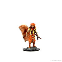 D&D Icons of the Realms: Premium Painted Figure - Human Druid Male