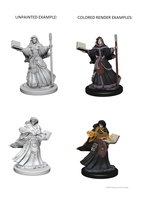 A plastic Wizkids D&D Nolzur's Marvelous Miniatures Human Druid miniature I painted as a Wizard that I completed last week and sold on eBay. It was interesting that it looked like he