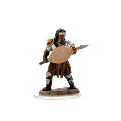 D&D Icons of the Realms Premium Figures: Male Human Fighter - 3