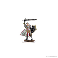 D&D Icons of the Realms Premium Figures: Male Human Paladin