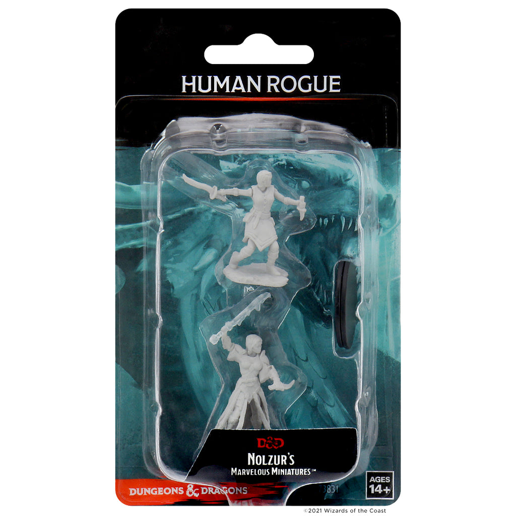 D&D NMU: Female Human Rogue - Hub Hobby