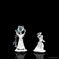 D&D Nolzur's Marvelous Miniatures - Drow Mage & Drow Priestess