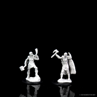 D&D Nolzur's Marvelous Miniatures - Female Human Barbarian