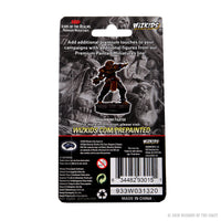 D&D Icons of the Realms Premium Figures: Male Dragonborn Fighter