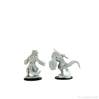 D&D Nolzur's Marvelous Miniatures: Lizardfolk Barbarian & Lizardfolk Cleric