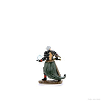 Pathfinder Battles: Premium Painted Figure - Male Elf Magus