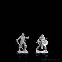 D&D Nolzur's Marvelous Miniatures: Multiclass Fighter + Wizard Male