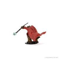 D&D Icons of the Realms Premium Figures: Male Tortle Monk