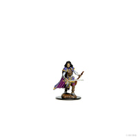 Pathfinder Battles: Premium Painted Figure - Human Bard Female