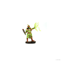 Pathfinder Battles: Premium Painted Figure - Half-Orc Druid Male