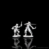 D&D Nolzur's Marvelous Miniatures - Male Tabaxi Rogue