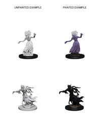 D&D Nolzur’s Marvelous Miniatures: Wraith & Specter
