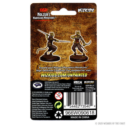 D&D Nolzur's Marvelous Miniatures - Male Tabaxi Rogue - 2