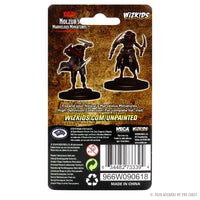 D&D Nolzur's Marvelous Miniatures: Tiefling Female Rogue